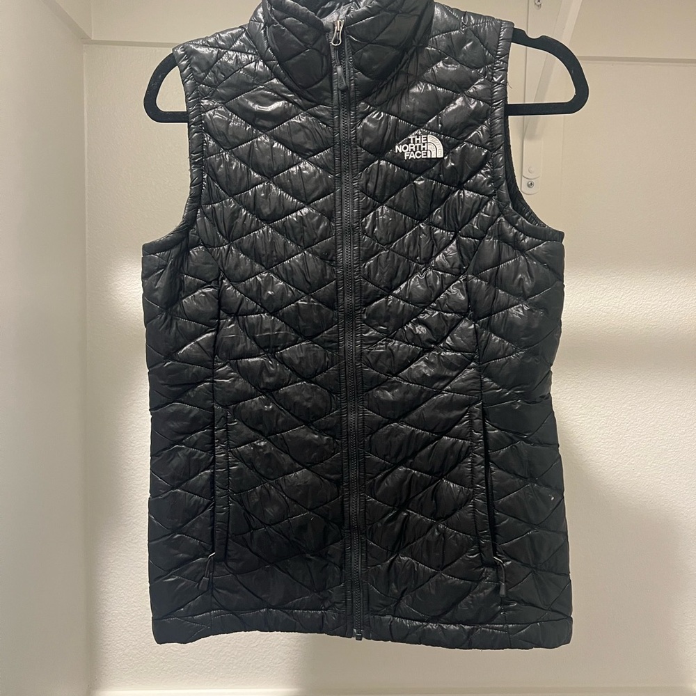 The North Face Shiny Black Quilted Outerwear